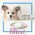 【10kcal】超小型犬でも一つ食べられる透明なチーズケーキ