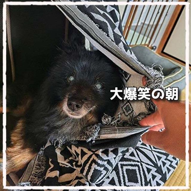 かくれんぼ