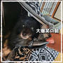 かくれんぼ