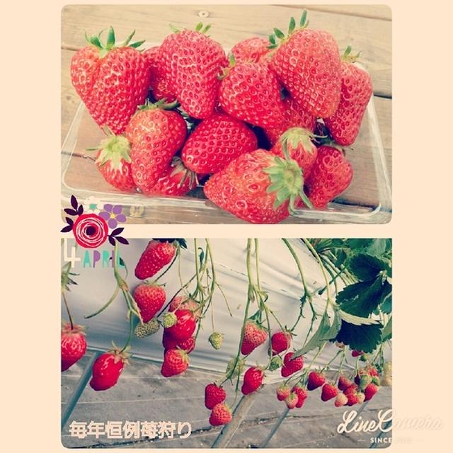毎年恒例行事してきましたー♡
