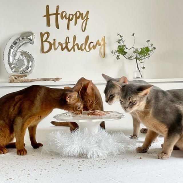 とのひめ、6歳のお誕生日会♪
