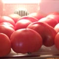完熟トマトと生クリームのパスタ