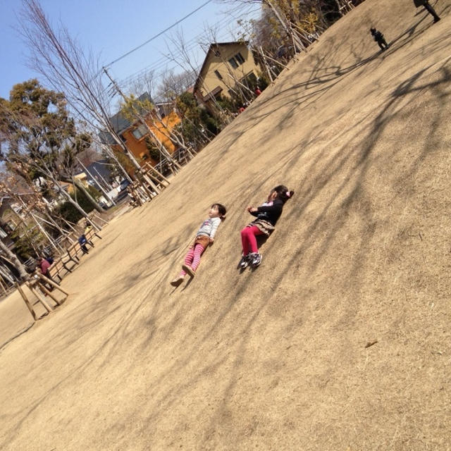 春がやったきた☆