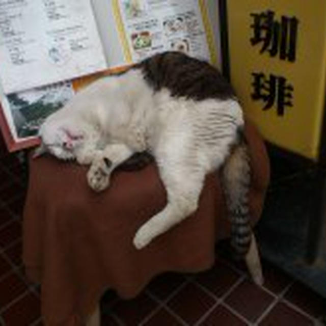 5/18 テニスからのおばあちゃんち♡