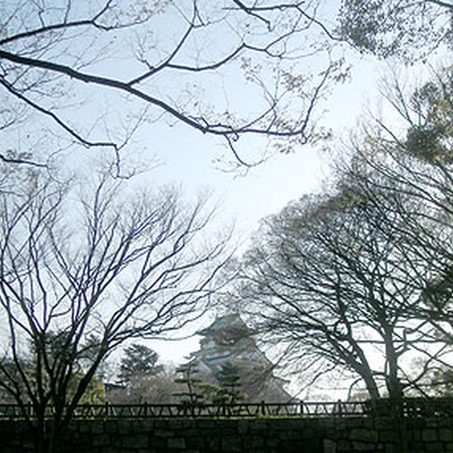 お花見?大阪城公園
