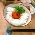 卵黄の醤油漬け ～ 凝縮された旨み、 "贅沢卵かけご飯" に❀❀❀ by mayumiたんさん