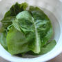 ベジタブルサラダ【Vegetable Salad】