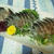 秋刀魚の炙り