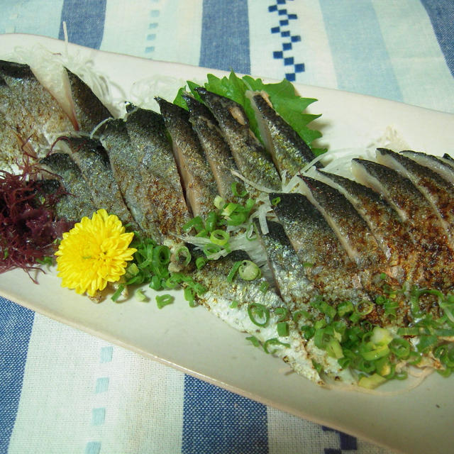 秋刀魚の炙り