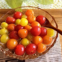 【野菜ひとつでベジつま】ミニトマトのおひたし他2品