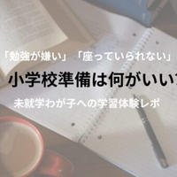 勉強嫌い|座っていられない|未就学わが子の学習体験レポ【メリデメも紹介】