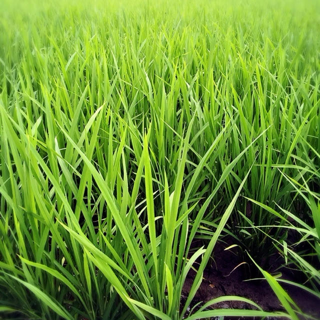 1食1食が大事なんです。