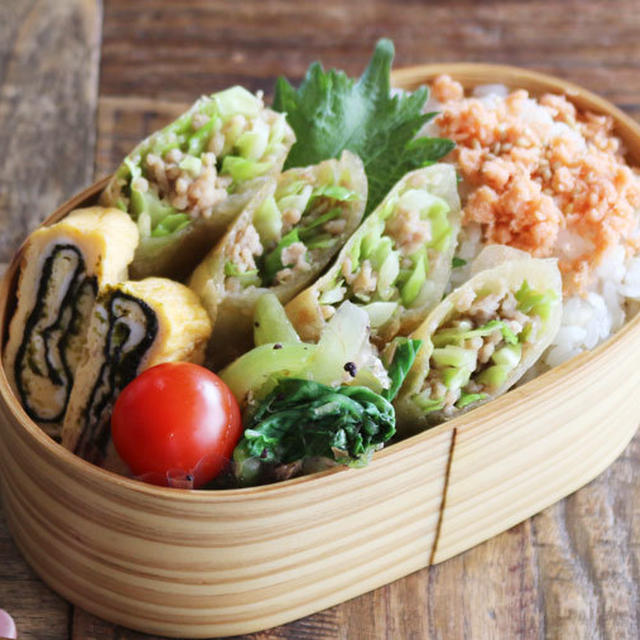 キャベツの甘みがたまらなく美味しい！春キャベツとひき肉の春巻き