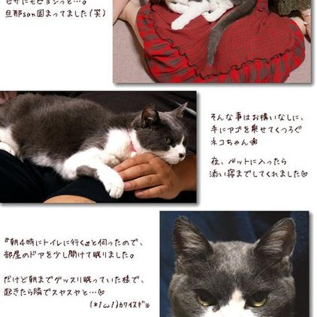 ■惚れられた？ドｷ(*ﾟдﾟ*)ドｷ ■