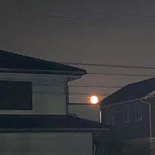 昨日かよっ！(・Д・)