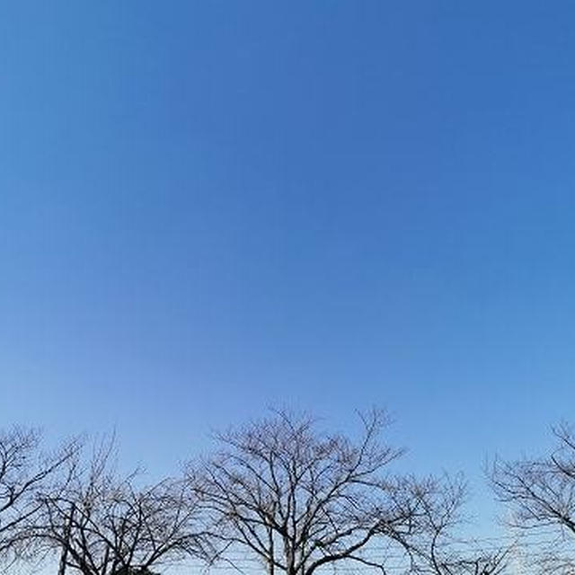 今年最後のラジオ体操