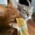ぼくちんのお誕生日にねこぴゅーれ