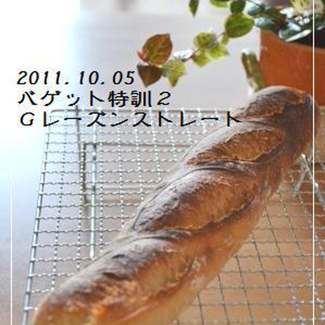 【特訓２】バゲ＠ＧレーズンＳとホップの行方