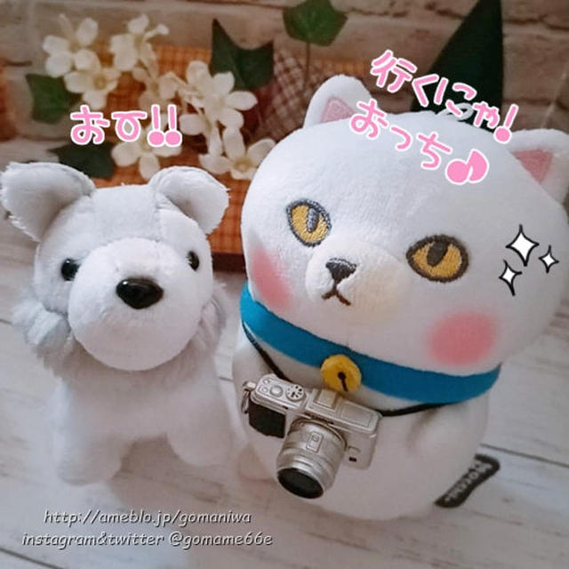 カメラマンもっちと今日のおやつ 本宮の森 #ぬいぐるみ #ぬい撮り #お菓子 #おやつ