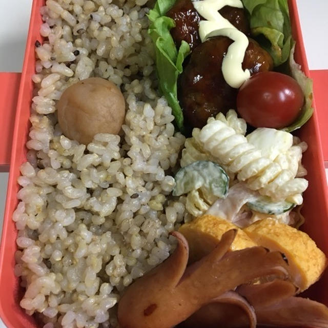 今日はハンバーグ弁