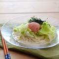 冷やしたらこ豆乳うどん。（冷凍うどんで）と三人デート♡