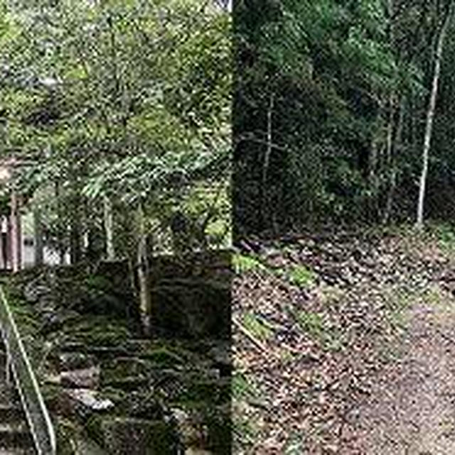 結願のあと、大窪寺から白鳥神社