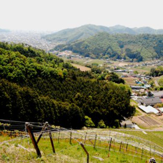 栃木にココ・ファームあり！