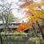 ☆京都、秋の輝き☆