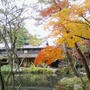 ☆京都、秋の輝き☆