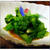 ●菜の花の辛子和え●