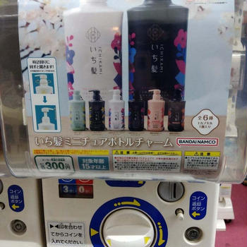 探していた「いち髪」のコレ
