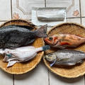 日本からの魚のお取り寄せ＿2024年5月＿太刀魚＆カワハギ