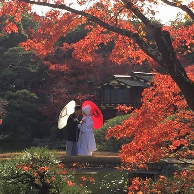 相楽園の紅葉と光の祭典ルミナリエ♪
