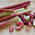 rhubarbe
