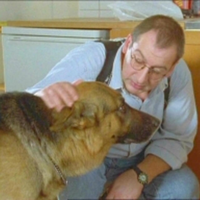 ★『REX～ウィーン警察シェパード犬刑事』シリーズ4