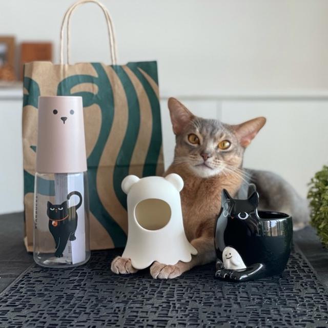 ★スターバックス★2021年のハロウィン限定グッズがかわいい