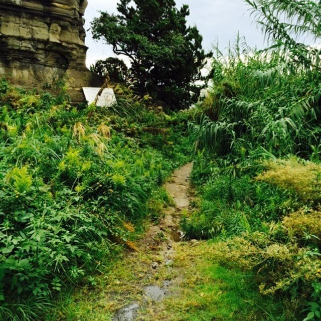 館山最南端の旅。