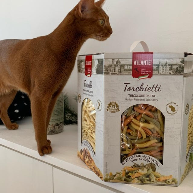 【コストコ】ご当地パスタ６種類が入ったでっかいボックスのパスタ＆バジルソース＆リゾットミックス