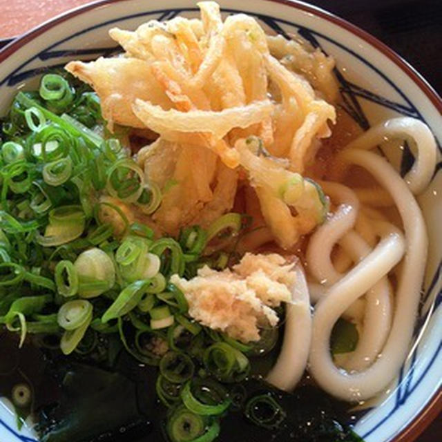 朝うどーん