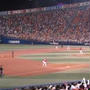 ☆野球観戦＆崎陽軒シュウマイ☆