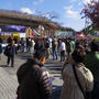 蕎麦・日本酒好きは代々木公園に集合！そばと日本酒の博覧会「大江戸和宴」