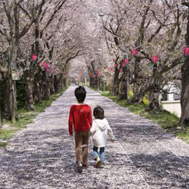 豚の塩麹漬／落花生ペーストの白和え