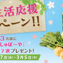 Joycook春の新生活応援キャンペーンを開始します！期間：2月27日（金）〜3月5日（木）