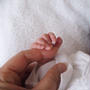 第三子誕生のお知らせ