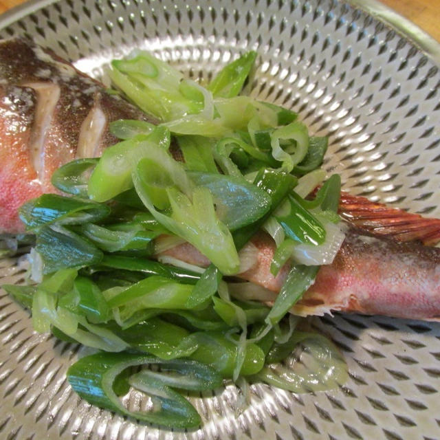 【旨魚料理】ホウボウと長葱の塩麹蒸し