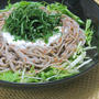 夏バテ解消はひんやり〜でつるつるっと、とろろとたっぷり大葉の爽やかぶっかけ蕎麦。