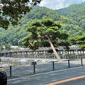 ２０年ぶりの？嵐山