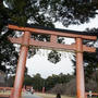 上賀茂神社に初詣。