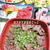 酔いどれDAY☆にんにくたっぷりのタレつけた焼肉とかで晩酌