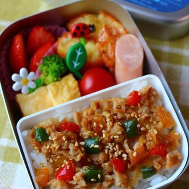 カラフル焼肉弁当